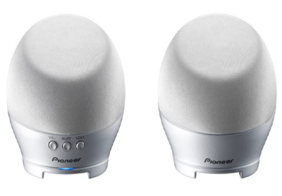 HAUT PARLEUR ORDINATEUR PIONEER S-MM251