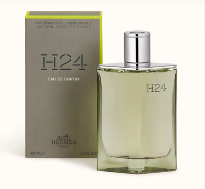 TERRE D'HERMES H24 - 100ML EDP | PARFUM HOMME