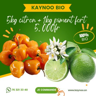 PACK 5KG CITRON BIO + 1KG PIMENT FORT HABANERO BIG SUN | KAYNOO SÉNÉGAL